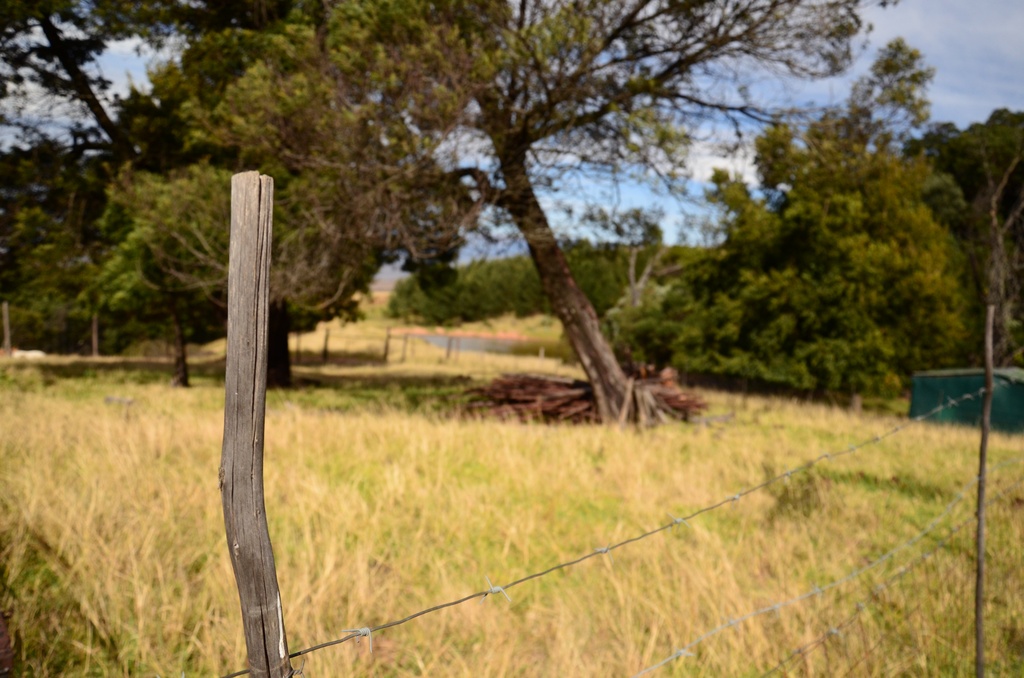 2015-05 South Africa/Drakensburg/DSC_0004.JPG